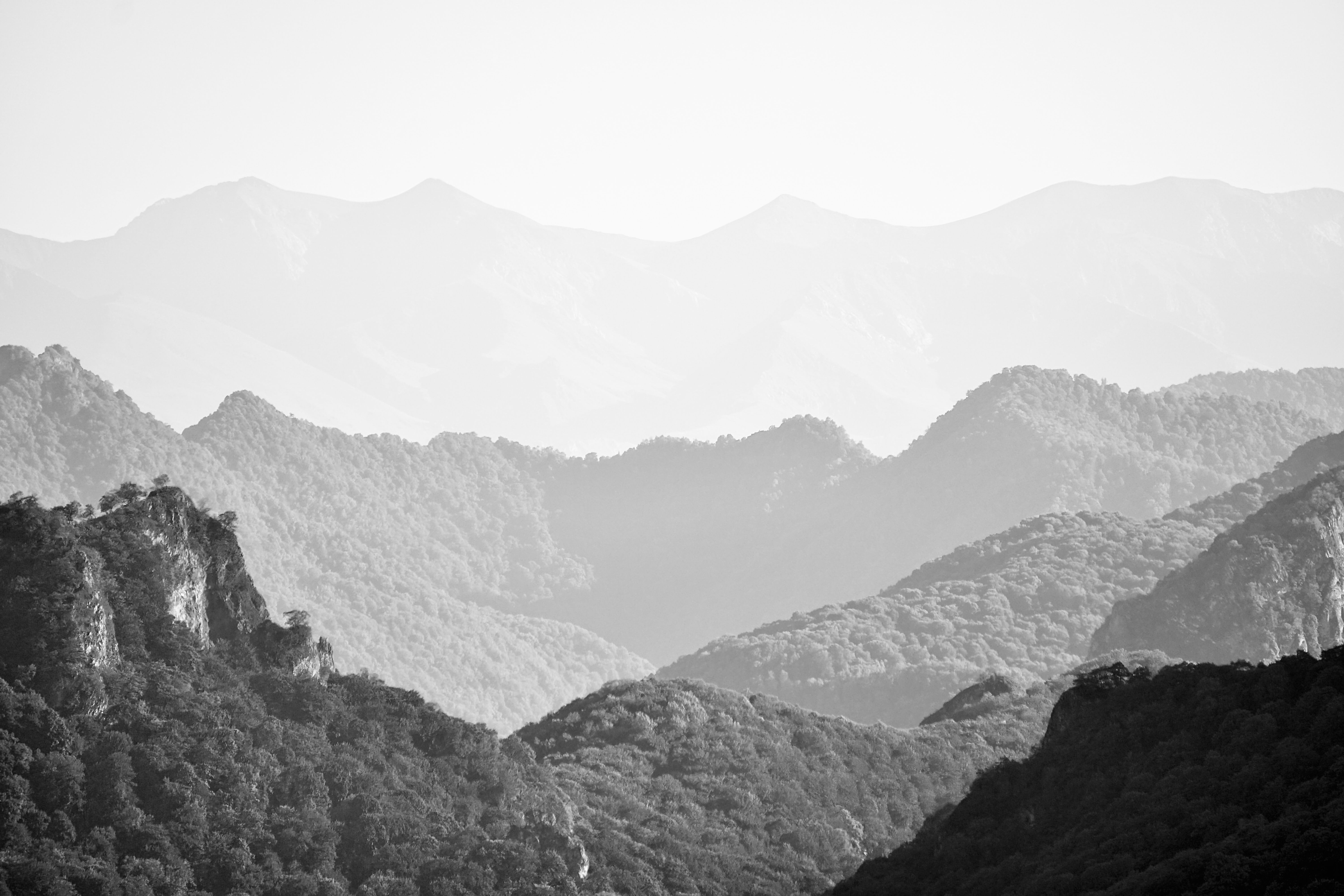 Abstract grayscale image representing family relationships and reflection