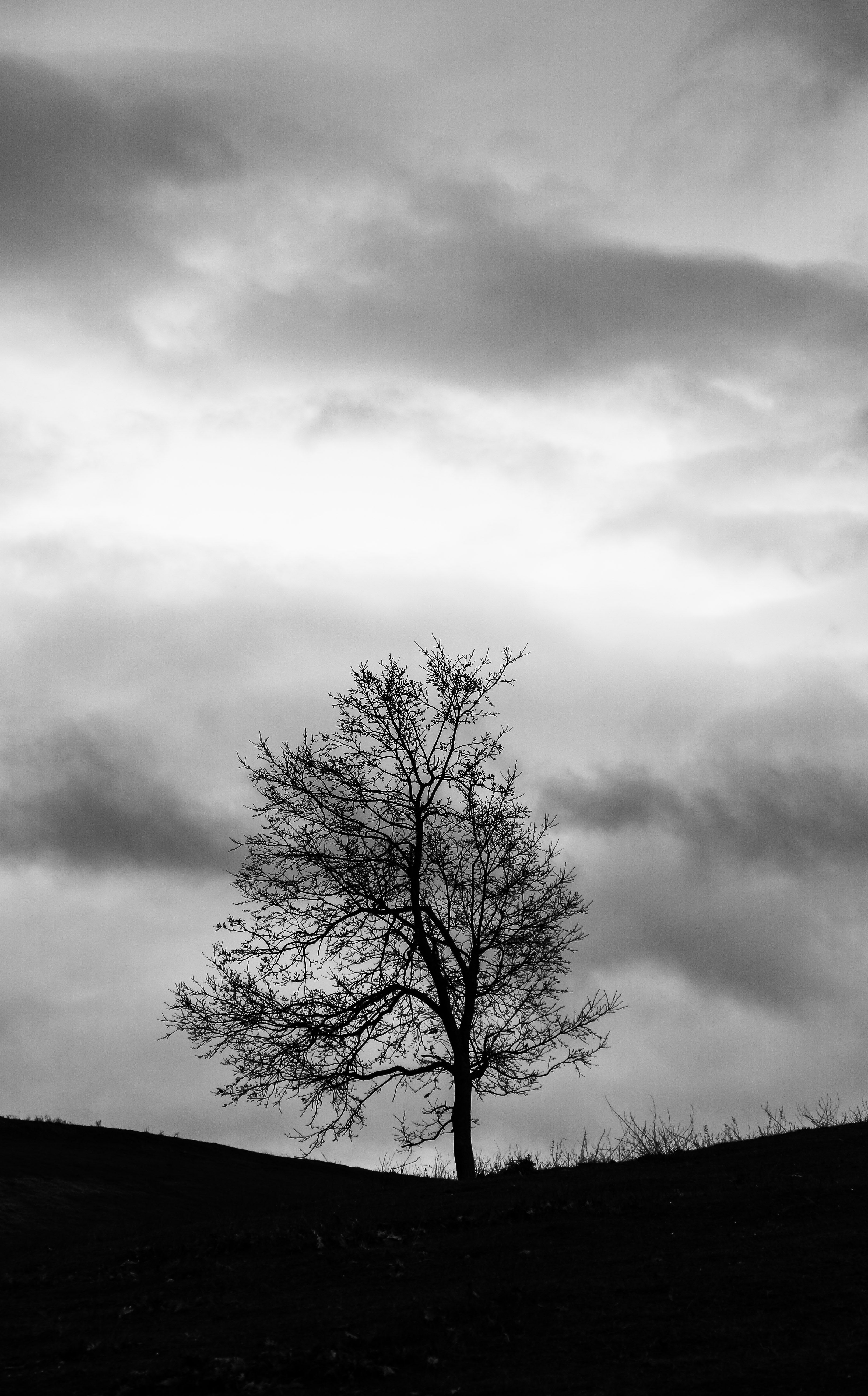 Abstract grayscale image representing family relationships and reflection